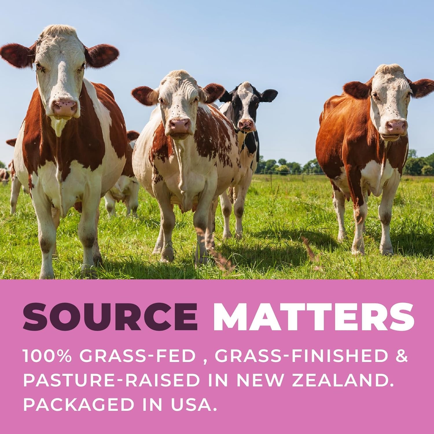 Beef Organ Supplement for Women